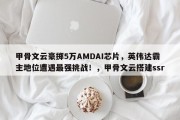 甲骨文云豪掷5万AMDAI芯片，英伟达霸主地位遭遇最强挑战！，甲骨文云搭建ssr