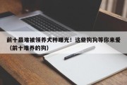 前十最难被领养犬种曝光！这些狗狗等你来爱（前十难养的狗）