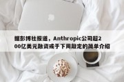 据彭博社报道，Anthropic公司超200亿美元融资或于下周敲定的简单介绍