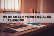文化挪用是什么？这个词的真正含义让人震惊！，文化挪用的界限