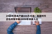 2024年单身户破800万大关！独居时代正在改变中国/2050年单身人口