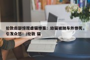伦敦南部惊现虐猫惨案：幼猫被抛车外惨死，引发众怒！/伦敦 猫