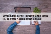 公牛队真的回来了吗？深度剖析芝加哥球队现状，哪些是实力哪些是泡沫的简单介绍