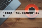 什袭而藏打一个生肖，诠释解释落实/什袭以藏