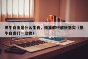 黑牛白角是什么生肖，精准解析解析落实（黑牛白角打一动物）