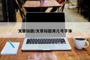 文章标题/文章标题用几号字体