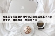 哈里王子在法庭声明中惊人提及威廉王子与凯特王妃，引爆舆论！的简单介绍