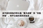 关于部长称加沙停火是“重大进展”但“仅是开端”，和平之路仍漫长的信息