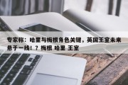 专家称：哈里与梅根角色关键，英国王室未来悬于一线！？梅根 哈里 王室