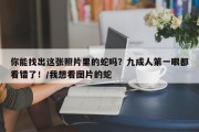 你能找出这张照片里的蛇吗？九成人第一眼都看错了！/我想看图片的蛇
