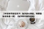 【中东和平危在旦夕！加沙战火再起，特朗普协议命悬一线】（加沙和中国友好吗）