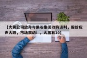 【大黄公司放弃与黑石集团收购谈判，股价应声大跌，市场震动！，大黑石10】