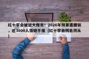 红十字会被迫大裁员！2026年预算遭腰斩，近3000人饭碗不保（红十字会何去何从）