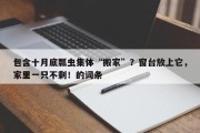 包含十月底瓢虫集体“搬家”？窗台放上它，家里一只不剩！的词条