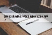 弹弹堂2宠物技能/弹弹堂宠物技能怎么用不了