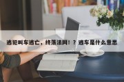 逃犯叫车逃亡，终落法网！？逃车是什么意思
