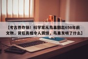 【考古界炸锅！科学家从鸟巢翻出650年前文物，背后真相令人震惊，鸟巢发明了什么】