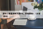 野村二季度净利下滑6%，市场震动！（小说 野村）