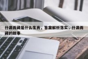 什袭而藏是什么生肖，答案解析落实，什袭而藏的故事