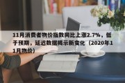 11月消费者物价指数同比上涨2.7%，低于预期，延迟数据揭示新变化（2020年11月物价）