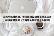 五两竿摇风色顺，黄河水绕汉边墙是什么生肖，标准解释落实（五两竿头风欲平怎么翻译）