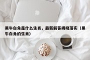 黑牛白角是什么生肖，最新解答揭晓落实（黑牛白角的生肖）