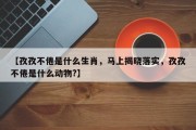 【孜孜不倦是什么生肖，马上揭晓落实，孜孜不倦是什么动物?】