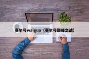 赛尔号waigua（赛尔号巅峰之战）