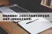梅根再遭重创！上任仅三月助理又辞职王室风波难平（梅根退出王室获赞）