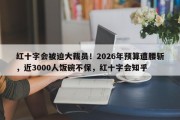 红十字会被迫大裁员！2026年预算遭腰斩，近3000人饭碗不保，红十字会知乎