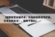 【雄狮接受关键手术，为物种延续保驾护航，引发全网关注！，雄狮干嘛的】