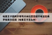 哈里王子因两字辱骂卡米拉惹怒国王被逐出弗罗格莫尔庄园（哈里王子怎么样）