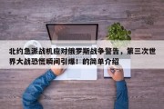 北约急派战机应对俄罗斯战争警告，第三次世界大战恐慌瞬间引爆！的简单介绍