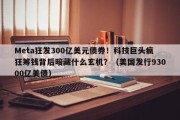 Meta狂发300亿美元债券！科技巨头疯狂筹钱背后暗藏什么玄机？（美国发行93000亿美债）